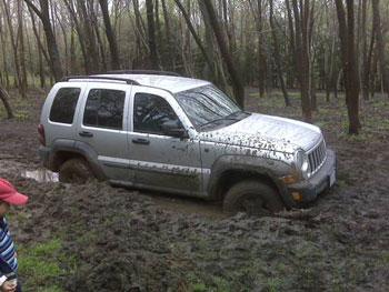 stuck in the muck